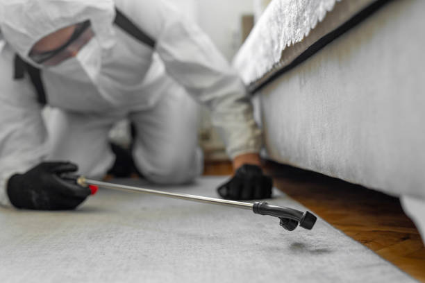 Professional Bed Bug Control technician working in Detroit Beach, MI