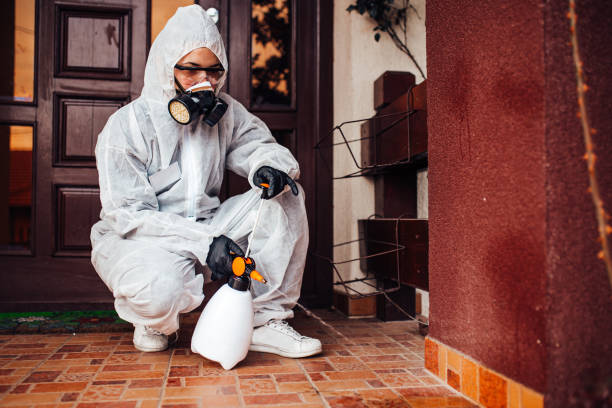 Reliable Bed Bug Control contractor in Detroit Beach, MI by Nex Pest Control