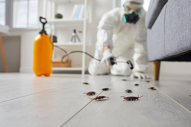 Trusted Bed Bug Control service in Detroit Beach, MI - Nex Pest Control